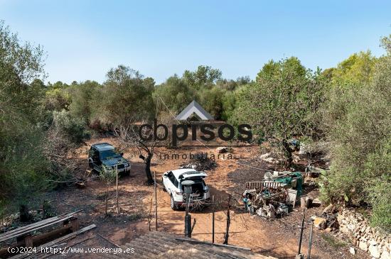 SE VENDE FINCA RÚSTICA EN PORRERAS CON 7500M² DE TERRENO - BALEARES