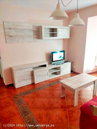 Apartamento en Alquiler en Zona Plaza Mayor de Caceres - CACERES