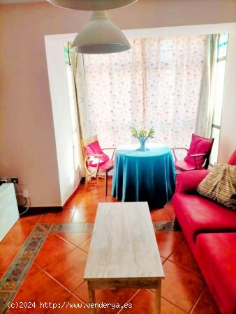 Apartamento en Alquiler en Zona Plaza Mayor de Caceres - CACERES