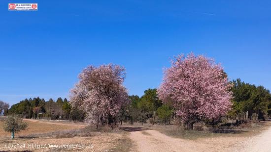 Chalet ubicado a 1km de Alameda ce cervera (Autovia) en dirección a Alcázar de San Juan - CIUDAD R