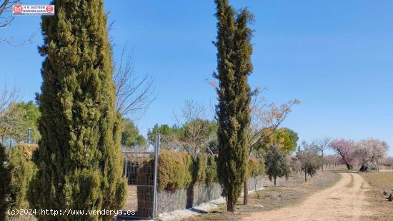 Chalet ubicado a 1km de Alameda ce cervera (Autovia) en dirección a Alcázar de San Juan - CIUDAD R