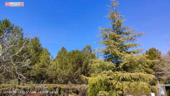 Chalet ubicado a 1km de Alameda ce cervera (Autovia) en dirección a Alcázar de San Juan - CIUDAD R