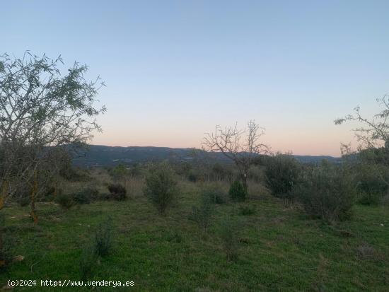 Venta de Finca Rústica en Pont d'Alentorn, Tarragona - 13000 m² con Casita - TARRAGONA