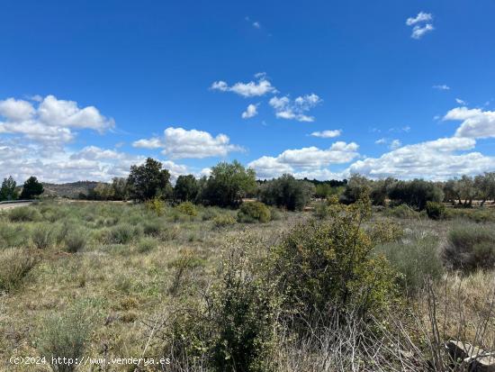 Terreno llano en Calaceite - TERUEL