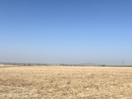 FINCA EN ZONA DE LAS CABEZAS (DON BENITO). ZONA CARRETERA CRUCES - BADAJOZ