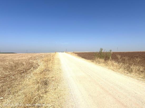 FINCA EN ZONA DE LAS CABEZAS (DON BENITO). ZONA CARRETERA CRUCES - BADAJOZ