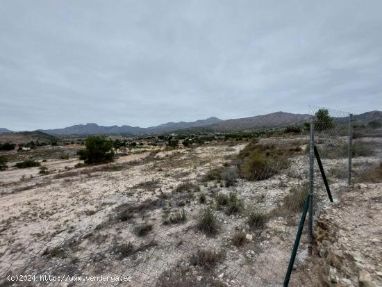 Terreno Rústico - Zona Ventos - Agost - ALICANTE