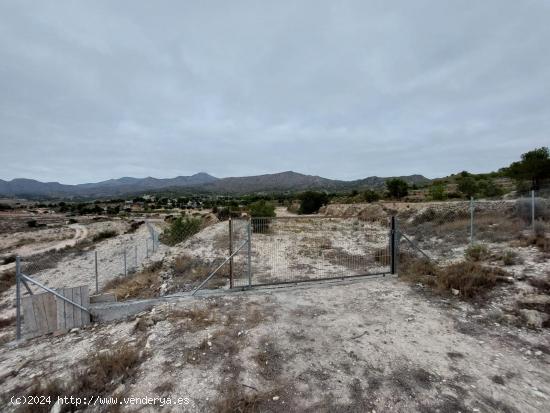 Terreno Rústico - Zona Ventos - Agost - ALICANTE