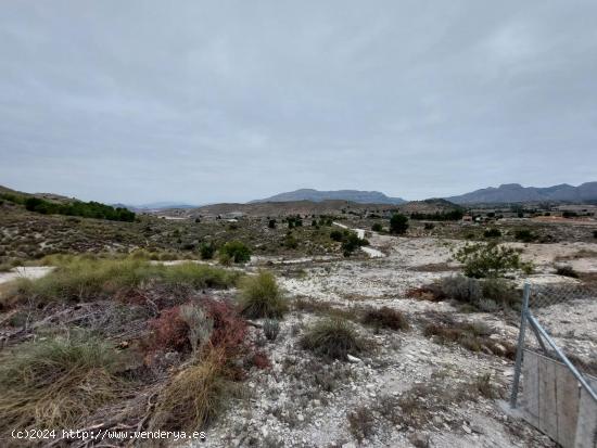 Terreno Rústico - Zona Ventos - Agost - ALICANTE