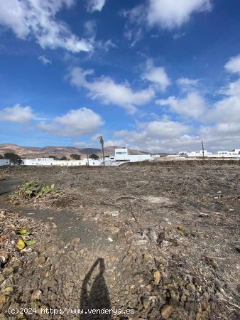 SE VENDE FINCA EN GUATIZA PARA CONSTRUIR TRES VIVIENDAS. - Teguise