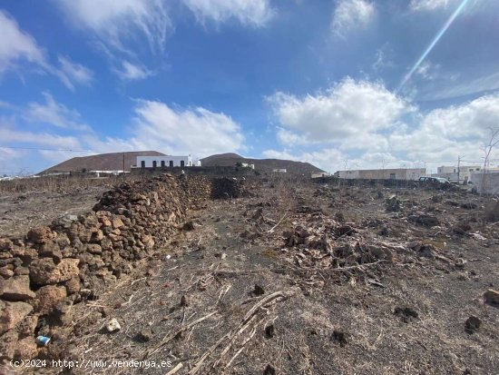 SE VENDE FINCA EN GUATIZA PARA CONSTRUIR TRES VIVIENDAS. - Teguise