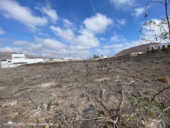 SE VENDE FINCA EN GUATIZA PARA CONSTRUIR TRES VIVIENDAS. - Teguise