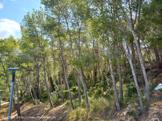 Gran solar en venta en urb. Mas Alba. - BARCELONA