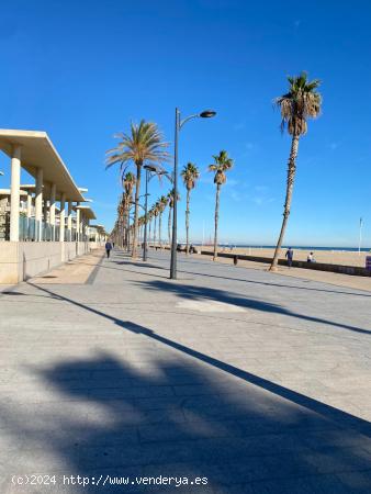 Restaurante en Segunda Línea de Playa en La Patacona, Valencia. - VALENCIA