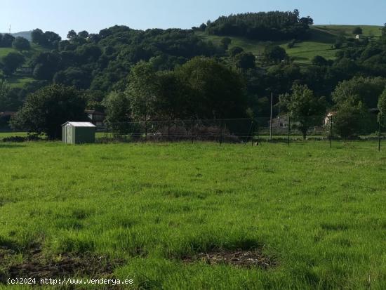 Terreno urbanizable con proyecto - CANTABRIA