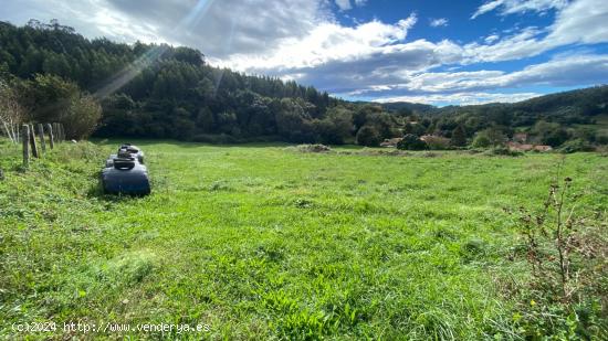 SE VENDE SUELO URBANIZABLE EN OREÑA, ALFOZ DE LLOREDO - CANTABRIA