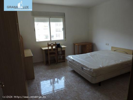 Habitación para chica en bonito piso reformado muy bien situado ideal estudiantes. - GRANADA