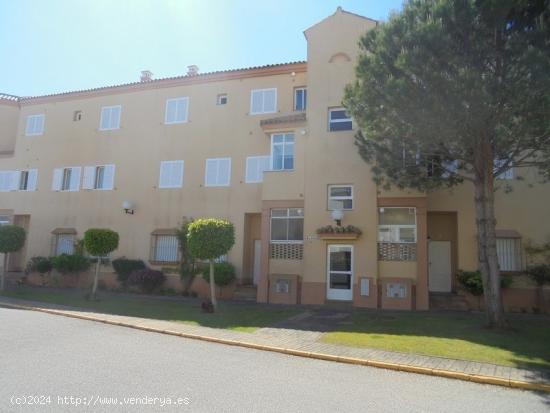 APARTAMENTO CON ESPECTACULAR TERRAZA EN NOVO SANCTI-PETRI - CADIZ