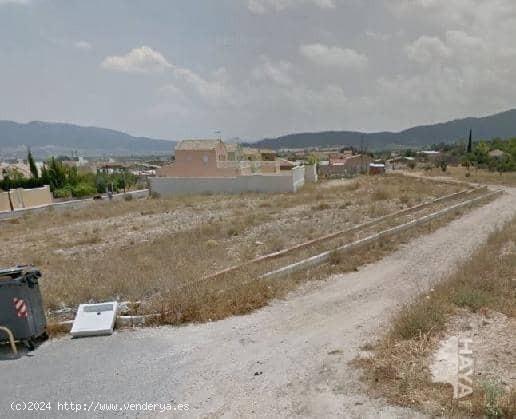 TERRENO URBANO EN SALINAS - ALICANTE