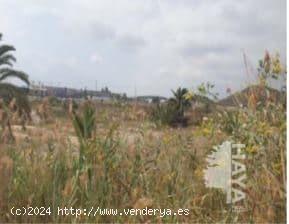 TERRENO URBANO EN SAN ISIDRO - ALICANTE