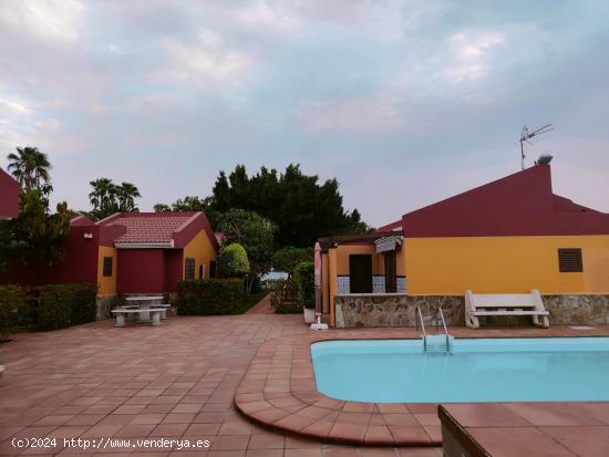 Alquiler de Bungalow en Maspalomas. - LAS PALMAS