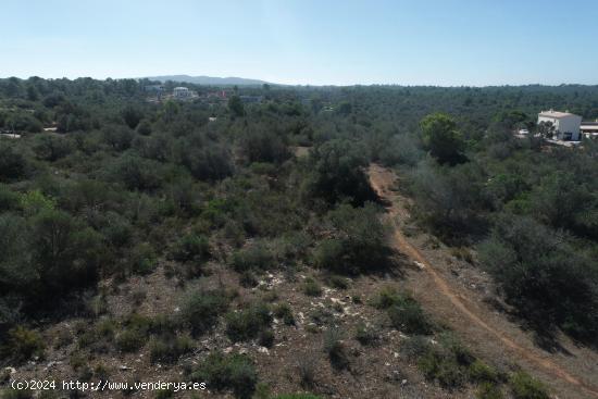 Dos parcelas urbanas en Son Gual - BALEARES