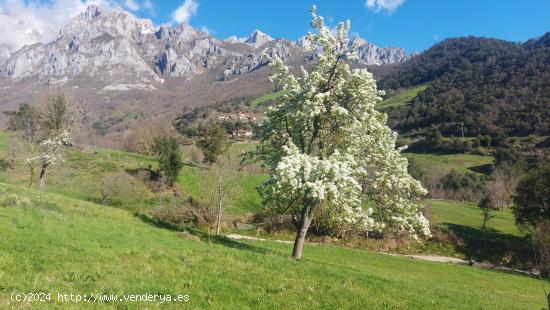 Venta de terreno rústico urbanizable en Liébana - CANTABRIA