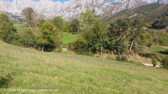 Venta de terreno rústico urbanizable en Liébana - CANTABRIA