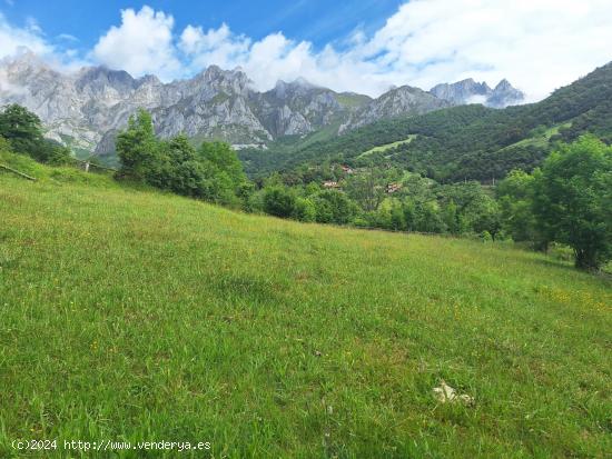 Terreno urbanizable en Camaleño - CANTABRIA