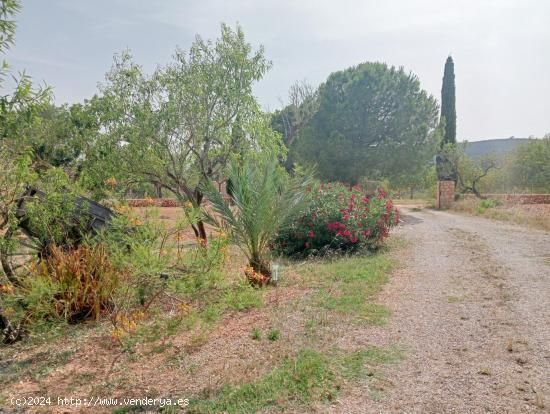 Se Alquila en Porreres - BALEARES