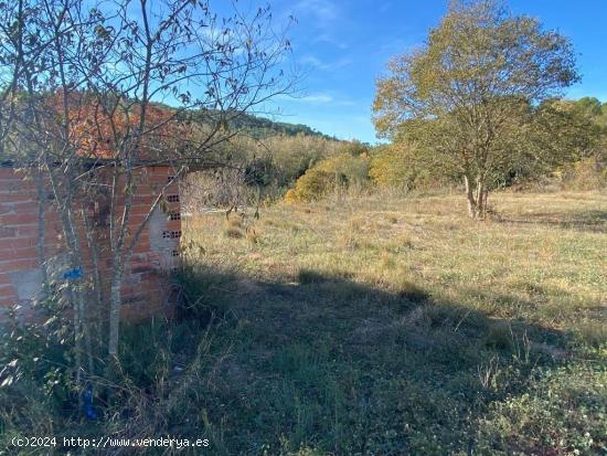  SE VENDE TERRENO DE HORTICULTURA EN SANT QUINTI DE MEDIONA - BARCELONA 