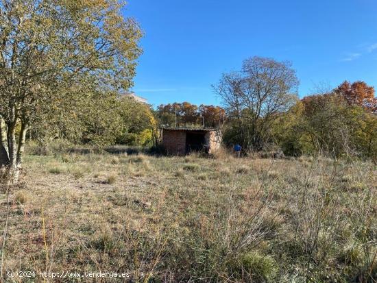 SE VENDE TERRENO DE HORTICULTURA EN SANT QUINTI DE MEDIONA - BARCELONA