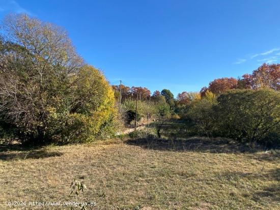 SE VENDE TERRENO DE HORTICULTURA EN SANT QUINTI DE MEDIONA - BARCELONA