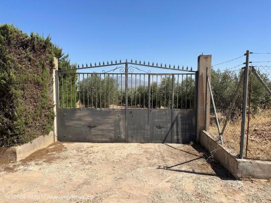 VENTA PARCELA RUSTICA EN LOS LLANOS DE MORALEDA DE ZAFAYONA - GRANADA