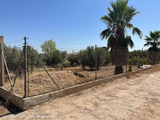 VENTA PARCELA RUSTICA EN LOS LLANOS DE MORALEDA DE ZAFAYONA - GRANADA