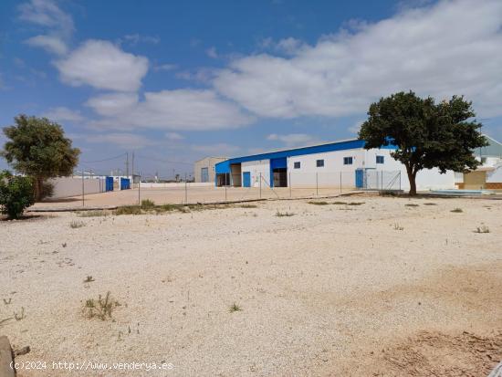 ALQUILER NAVE INDUSTRIAL CON OFICINAS EN LA PALMA - MURCIA