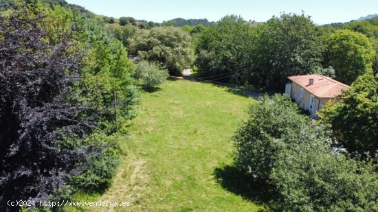 VENTA DE FINCA A 4 KM DE RIBADESELLA - ASTURIAS