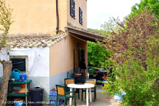 CASA RUSTICA CON TERRENO EN SINEU - TU NUEVA OASI DE PAZ - BALEARES