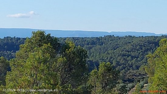 Finca en venta en Mazaleón (Teruel)