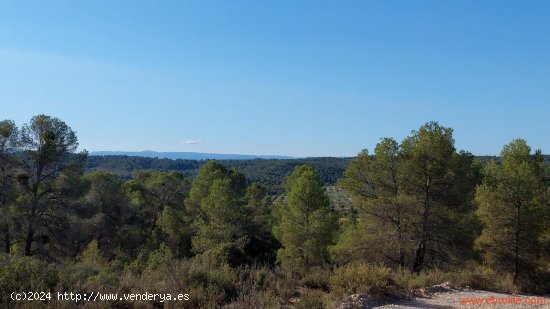 Finca en venta en Mazaleón (Teruel)