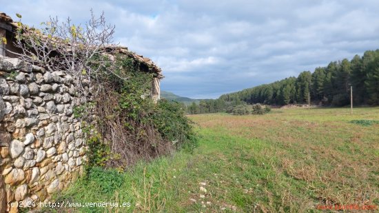 Finca en venta en Fuentespalda (Teruel)