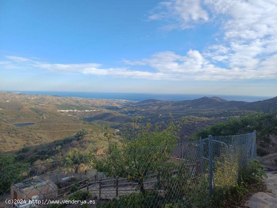 Parcela en venta en Macharaviaya (Málaga)