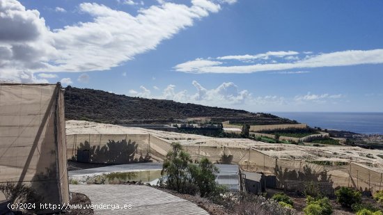 Parcela en venta en Guía de Isora (Tenerife)