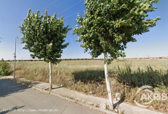 Finca Rústica en Chozas de Canales