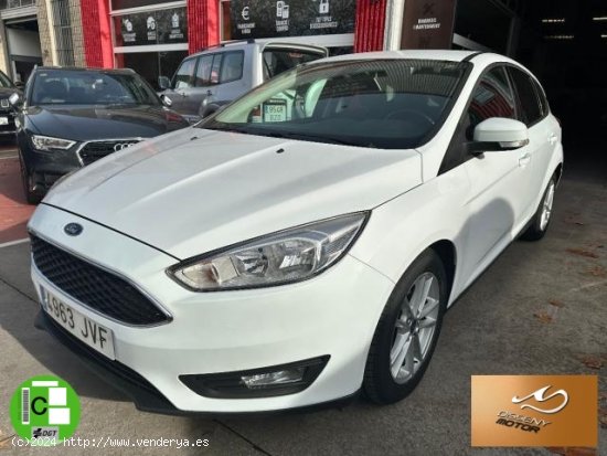 FORD Focus en venta en Olot (Girona) - Olot