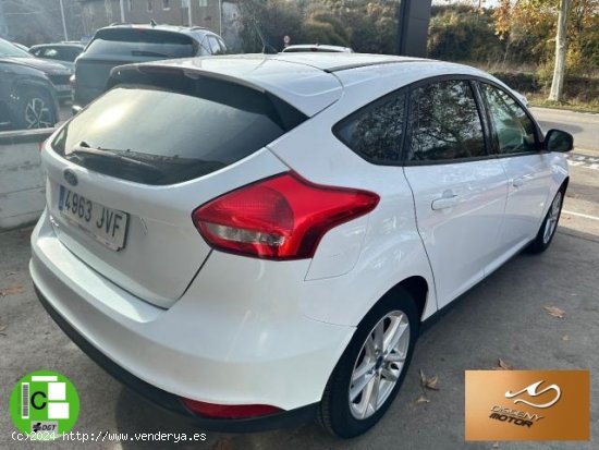 FORD Focus en venta en Olot (Girona) - Olot