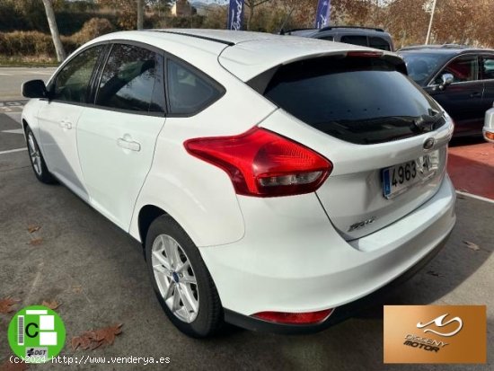 FORD Focus en venta en Olot (Girona) - Olot