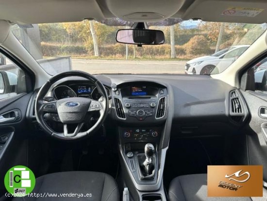 FORD Focus en venta en Olot (Girona) - Olot