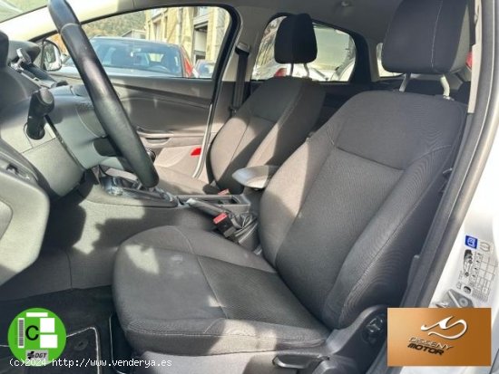 FORD Focus en venta en Olot (Girona) - Olot