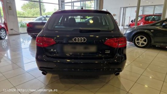 AUDI A4 en venta en Lugo (Lugo) - Lugo